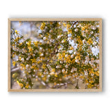 Load image into Gallery viewer, Gold Dust