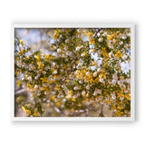 Load image into Gallery viewer, Gold Dust