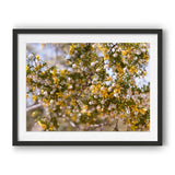 Load image into Gallery viewer, Gold Dust