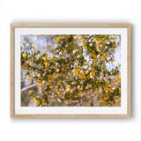 Load image into Gallery viewer, Gold Dust