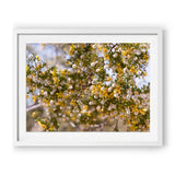 Load image into Gallery viewer, Gold Dust