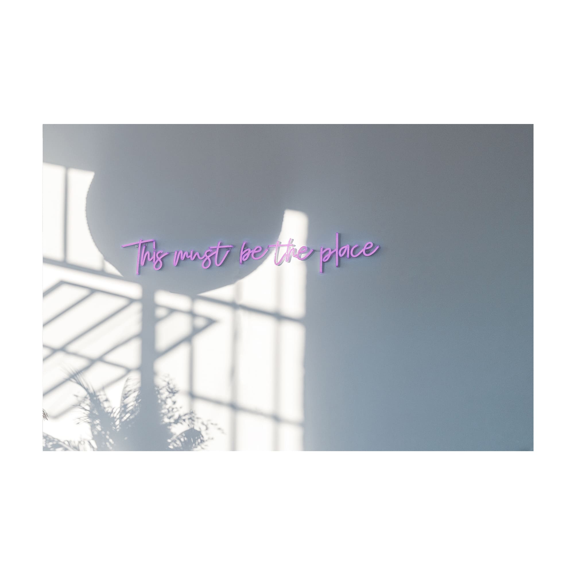 This Must Be The Place