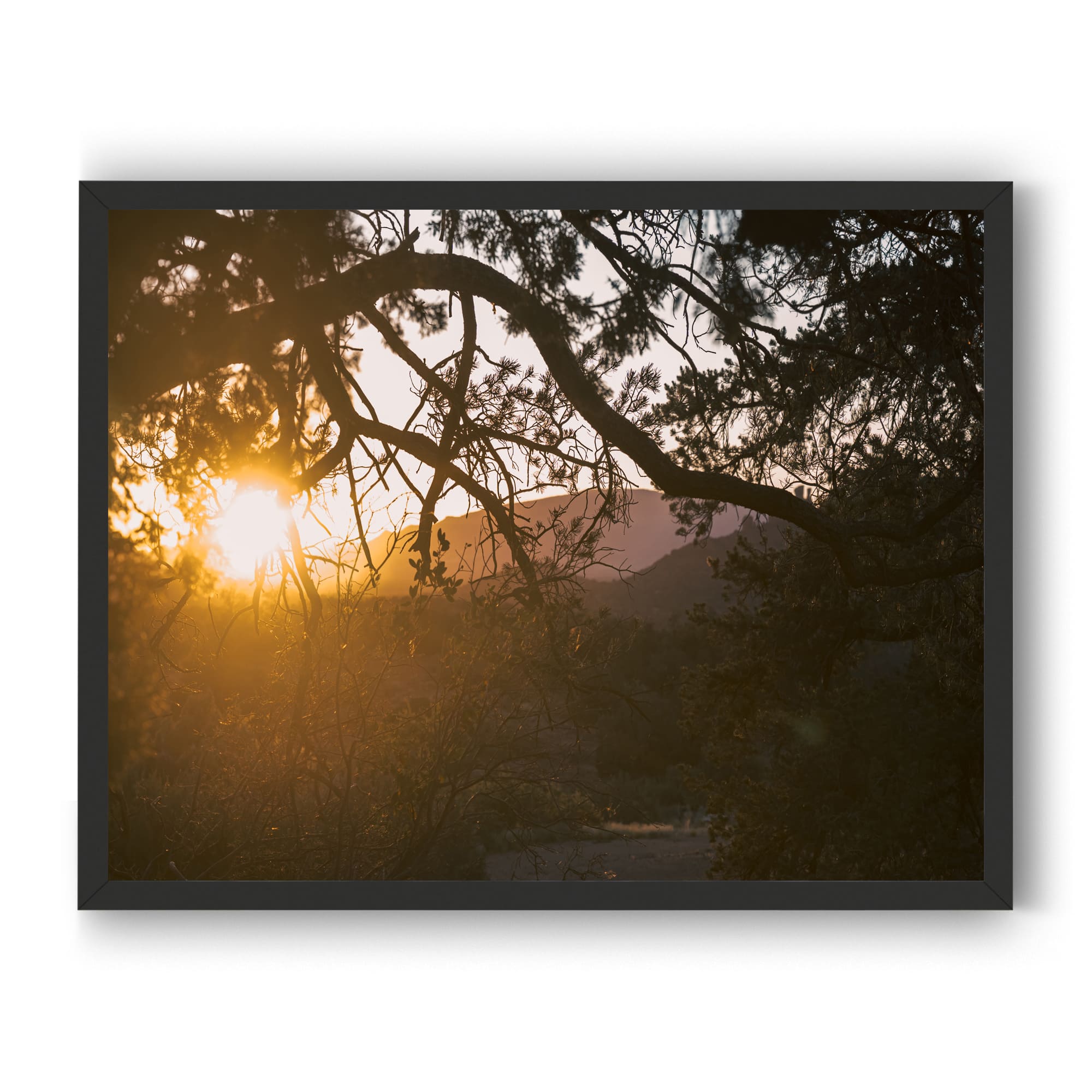 Trail To Twilight