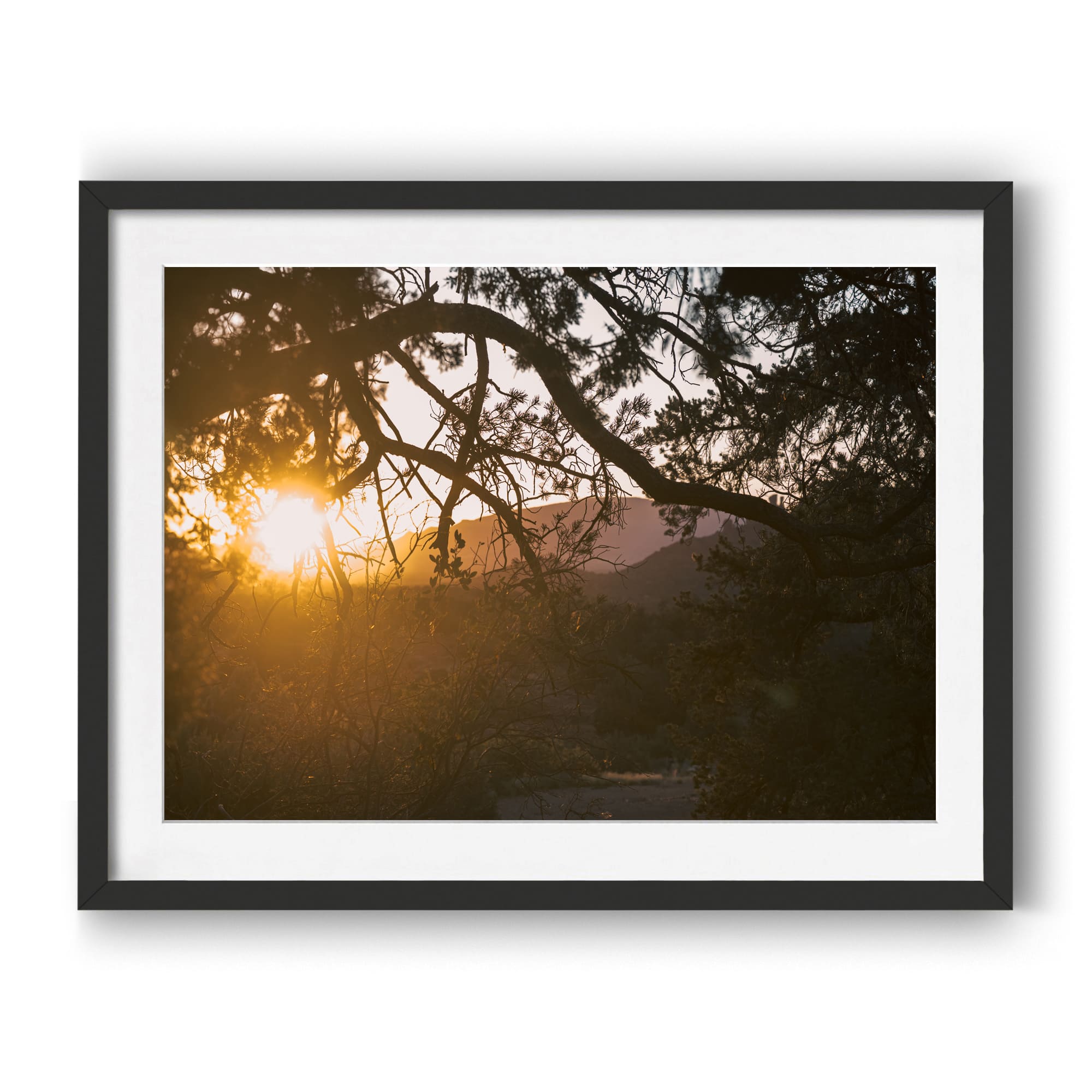 Trail To Twilight