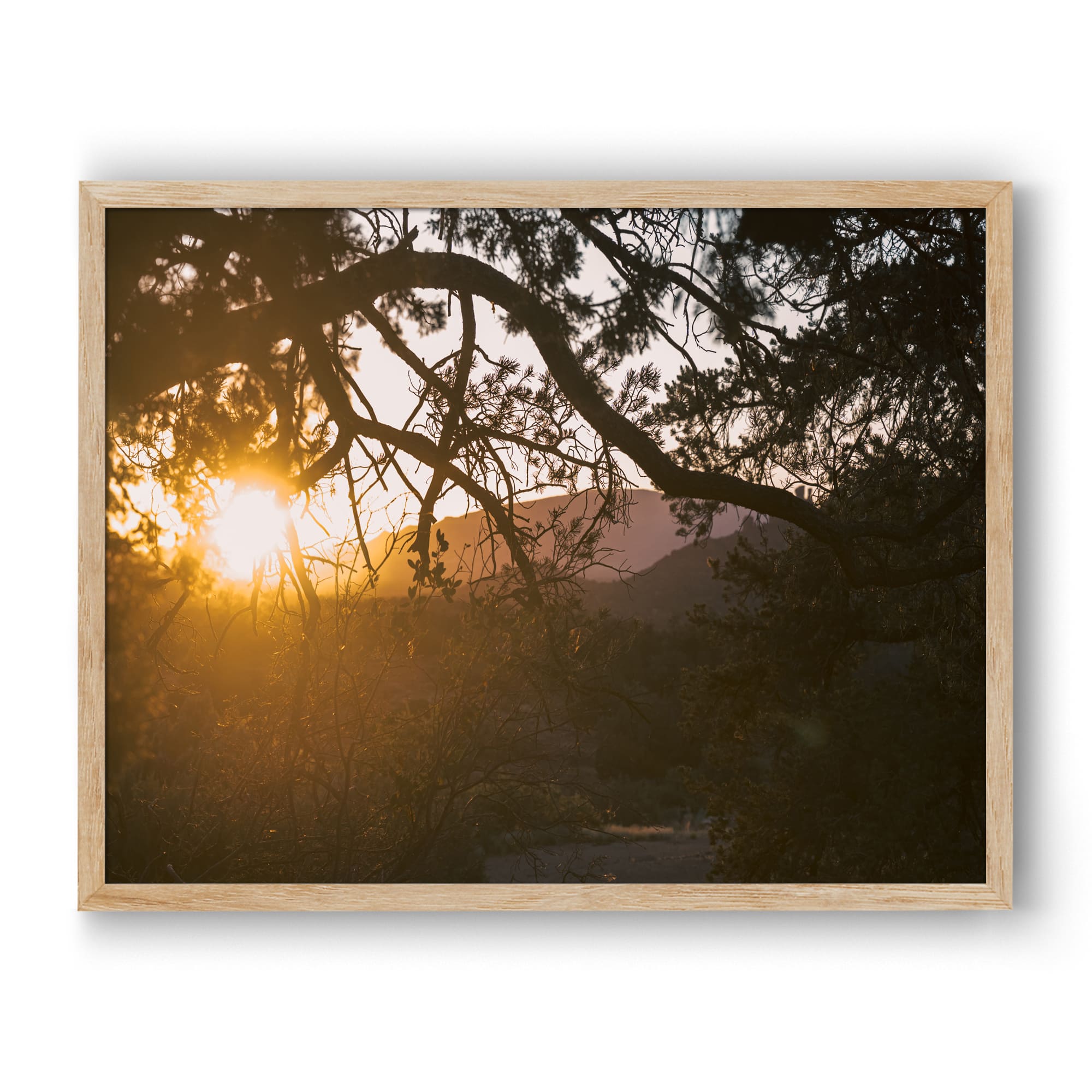 Trail To Twilight