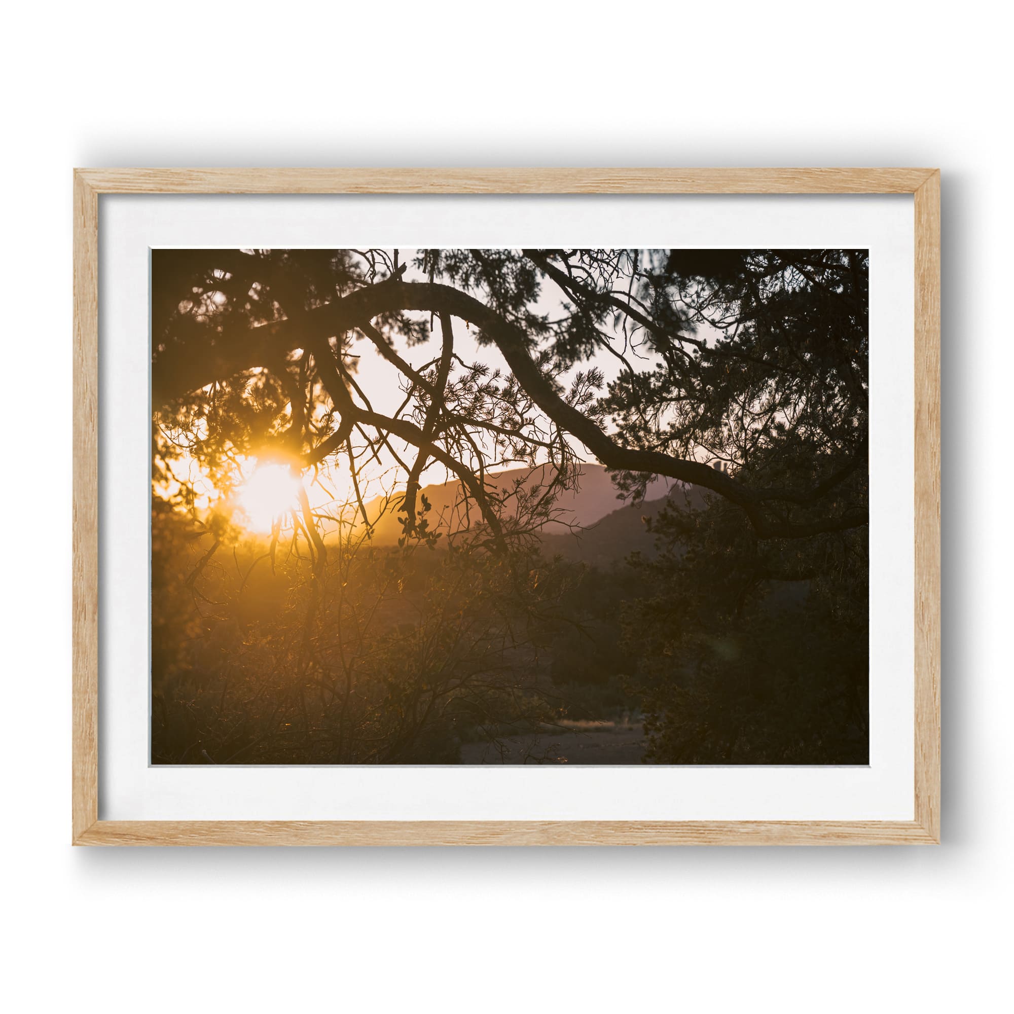 Trail To Twilight
