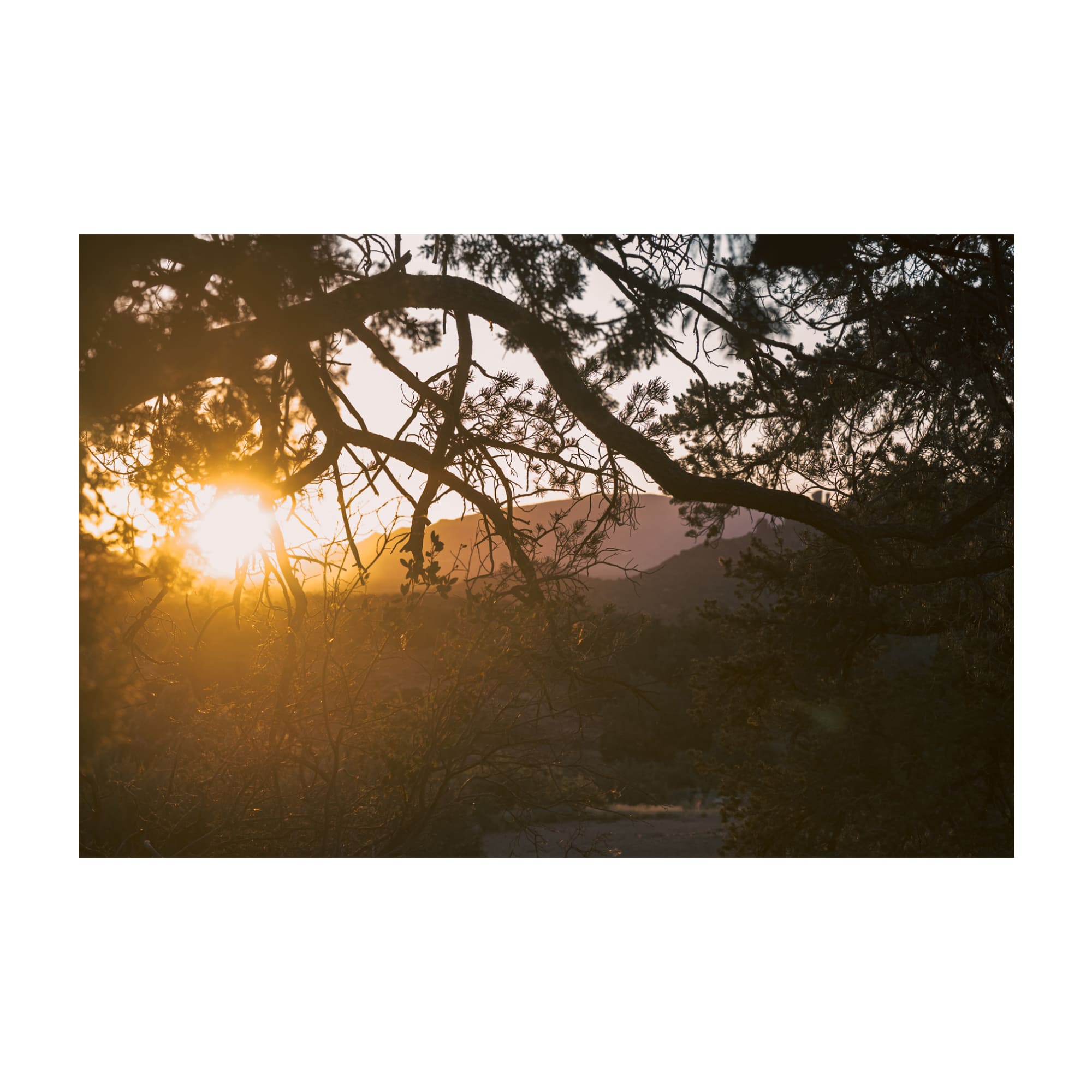 Trail To Twilight