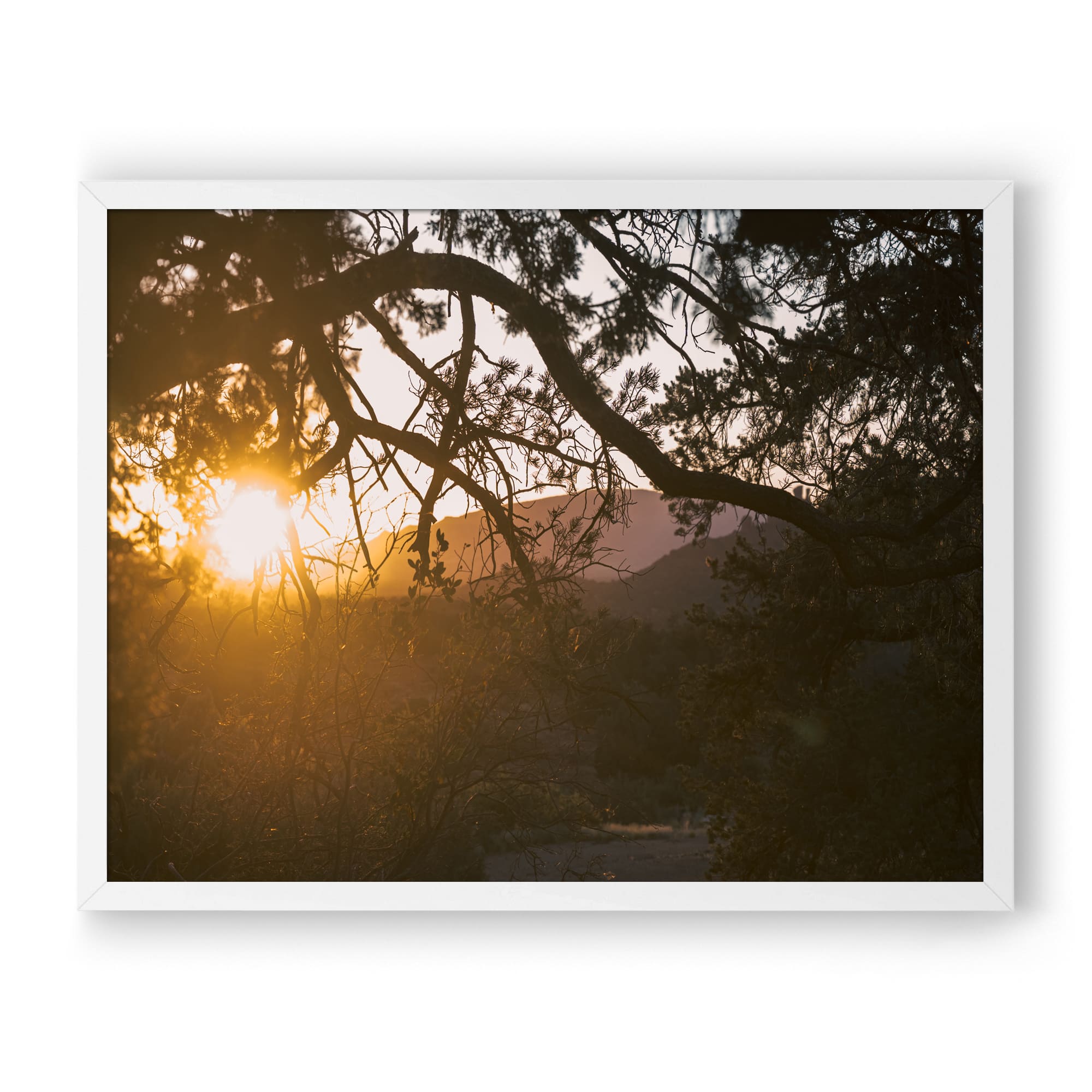 Trail To Twilight