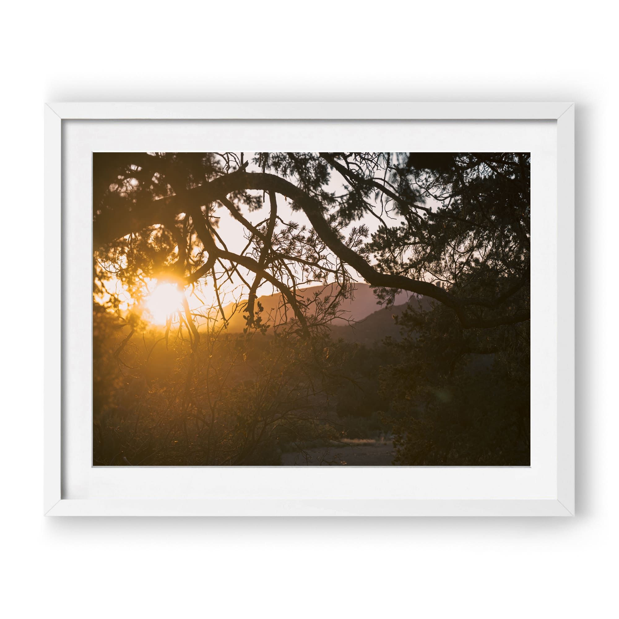Trail To Twilight