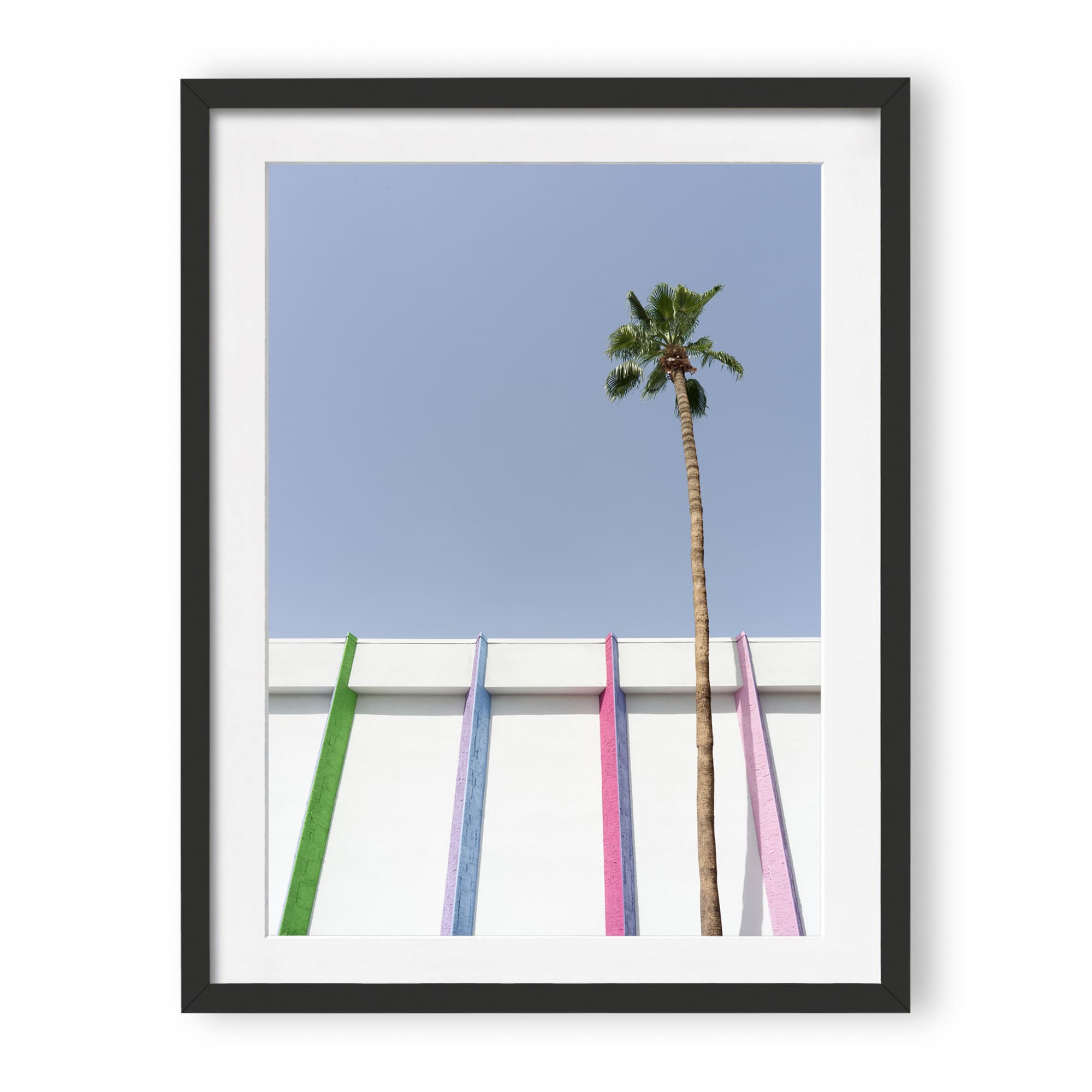 desert wildflower 001