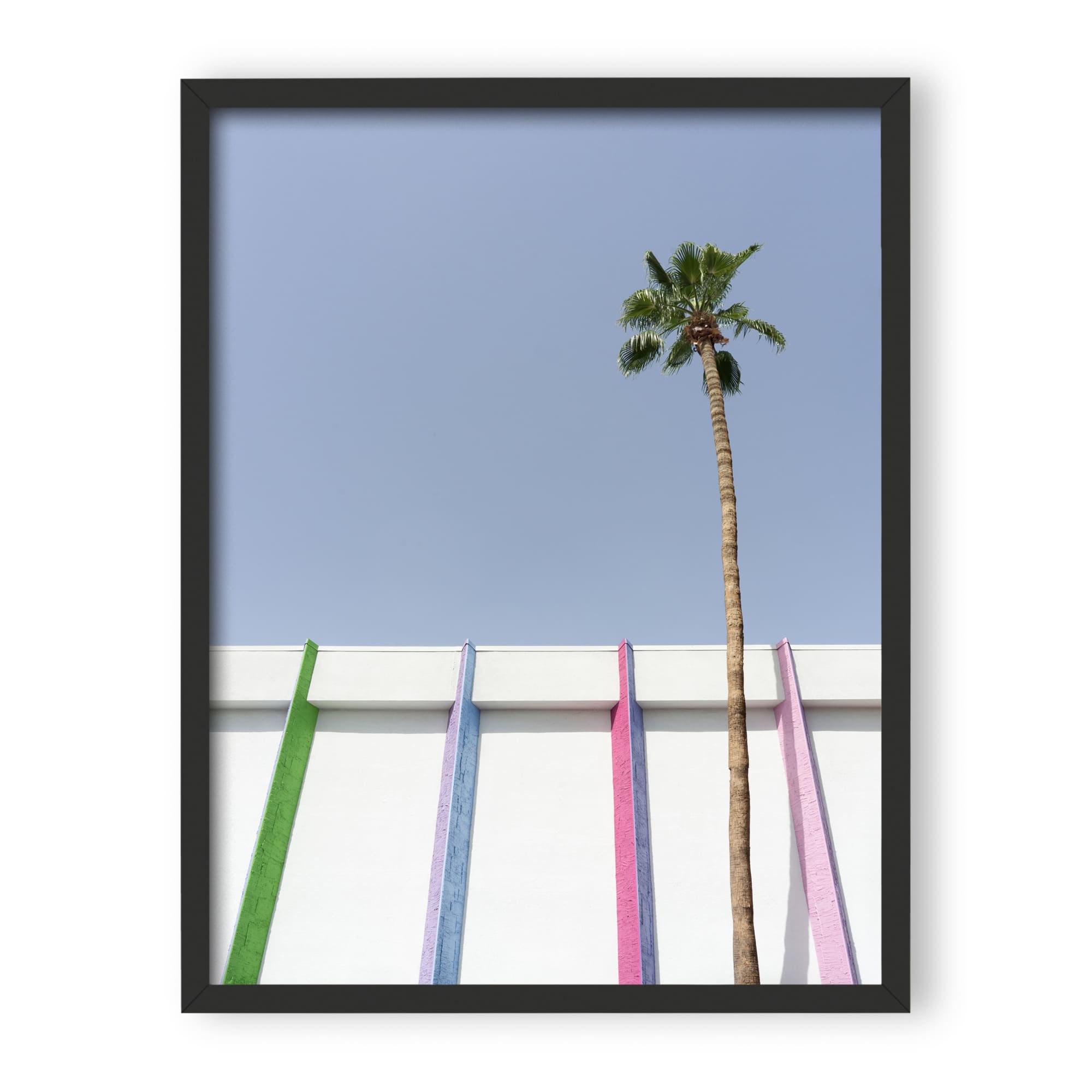 desert wildflower 001