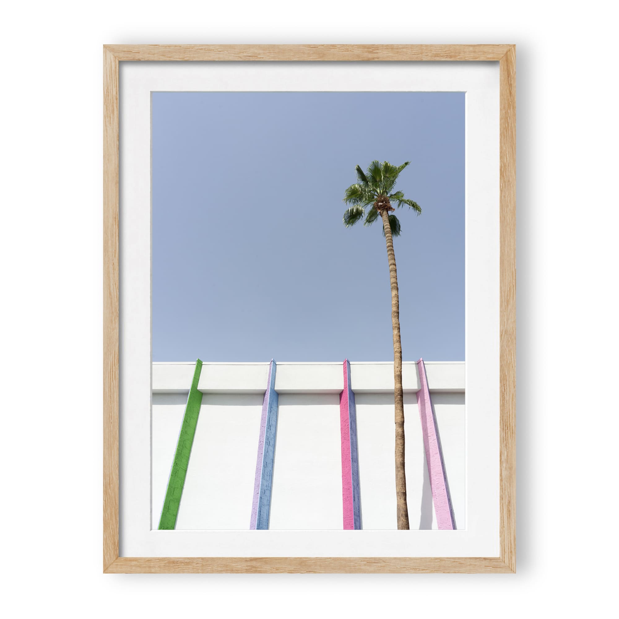 desert wildflower 001