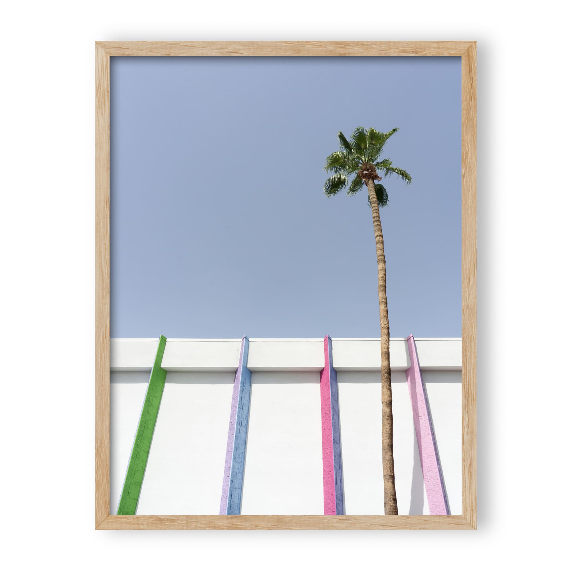 desert wildflower 001