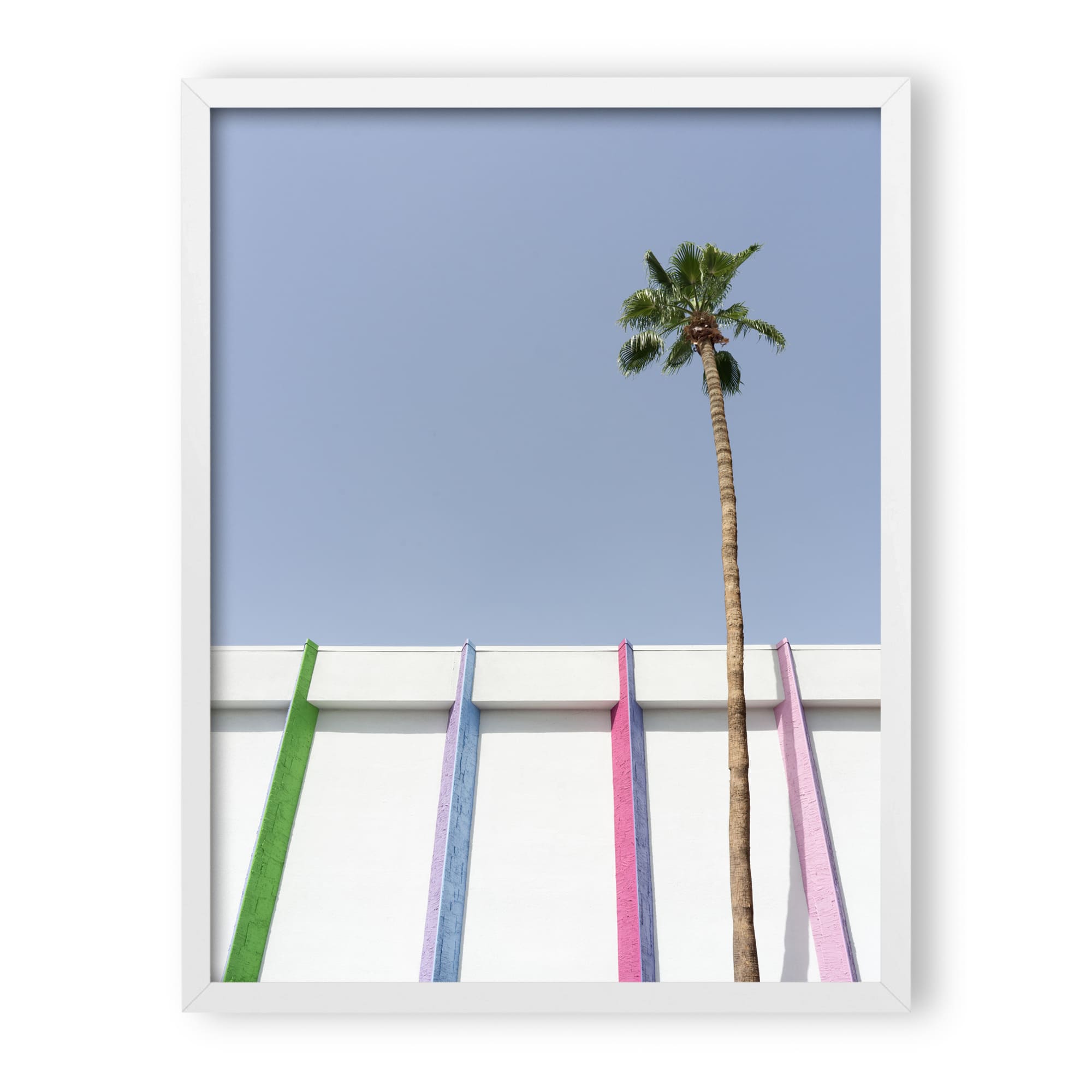 desert wildflower 001