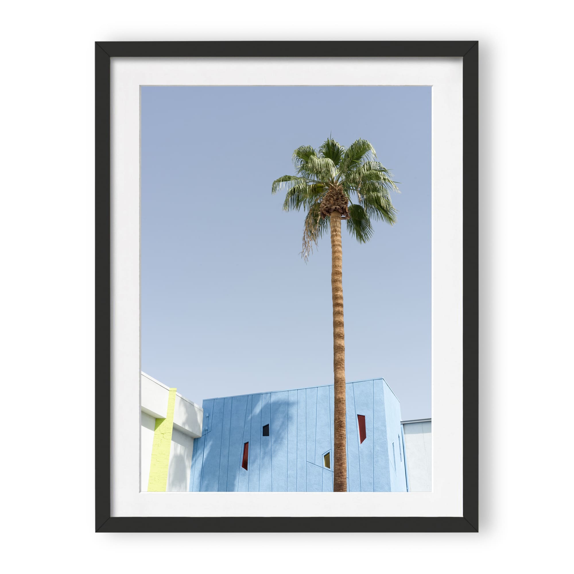 desert wildflower 002