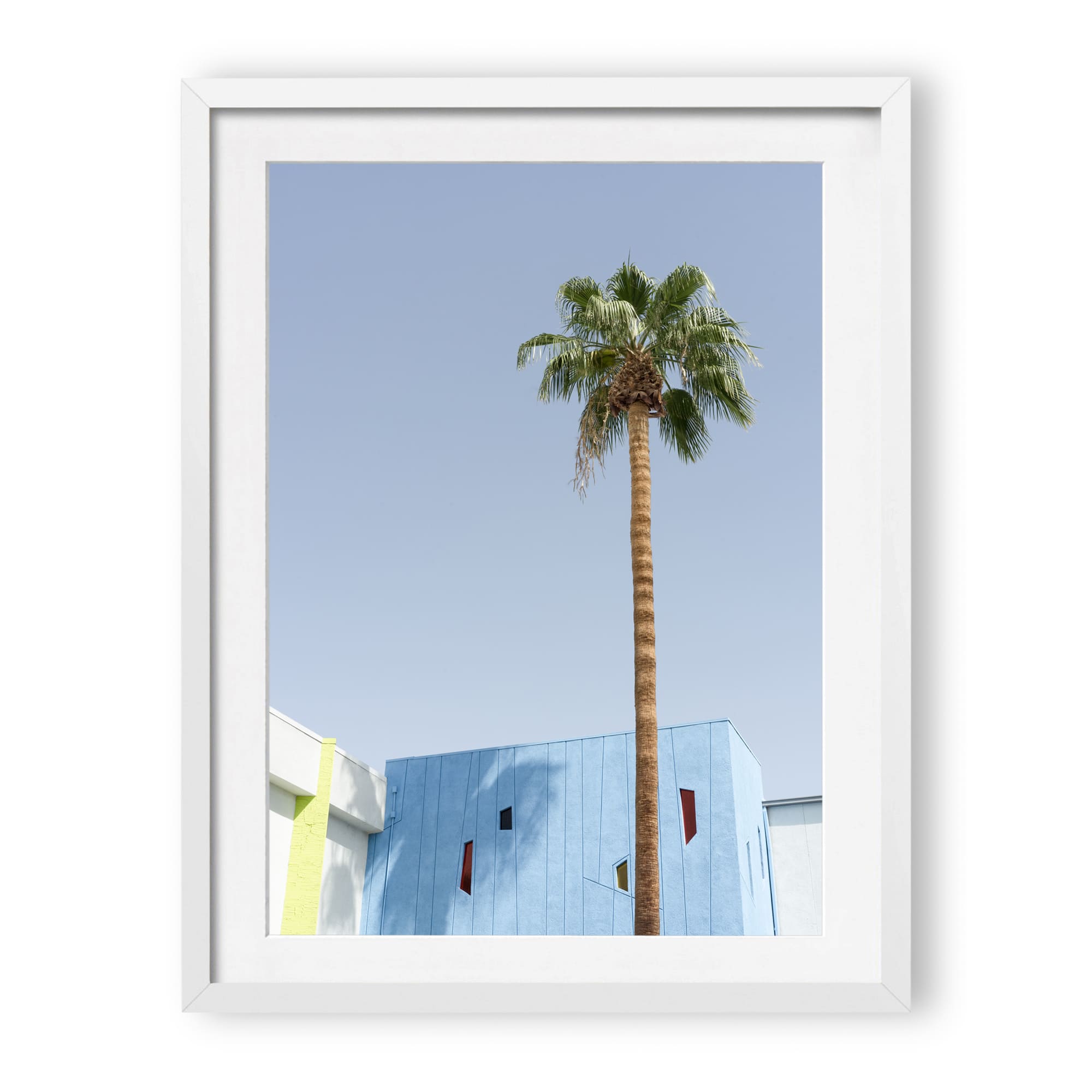 desert wildflower 002