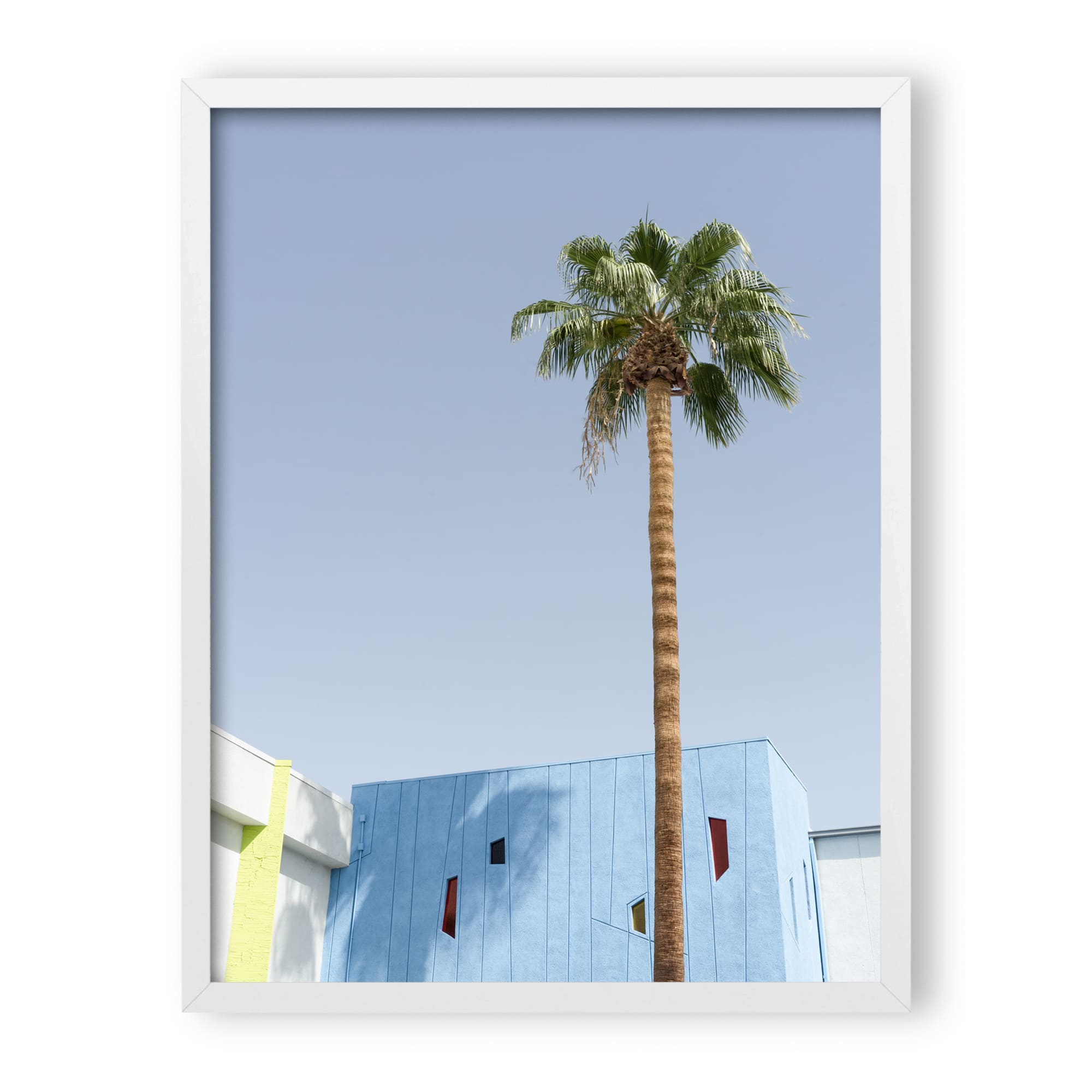 desert wildflower 002