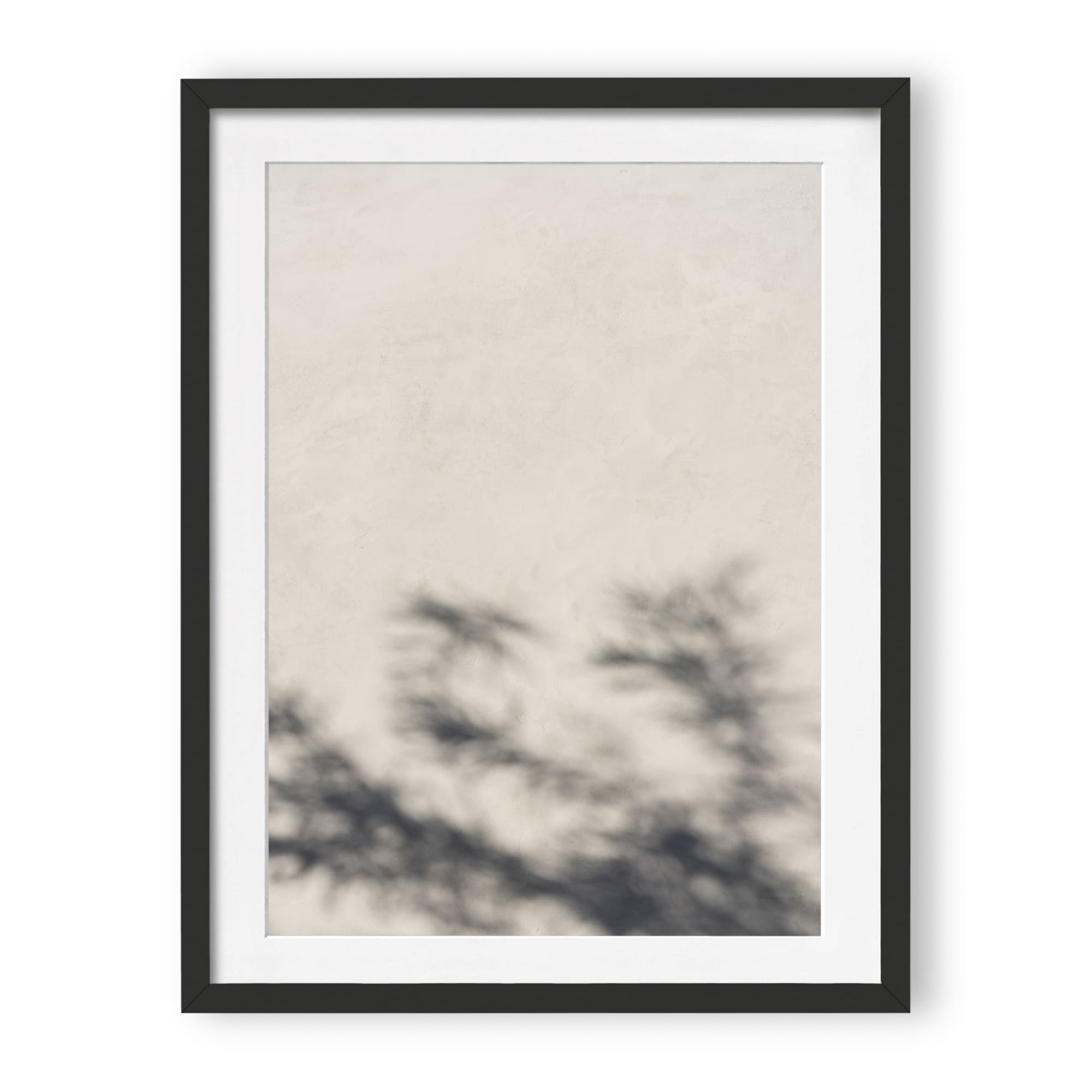 Morning Light