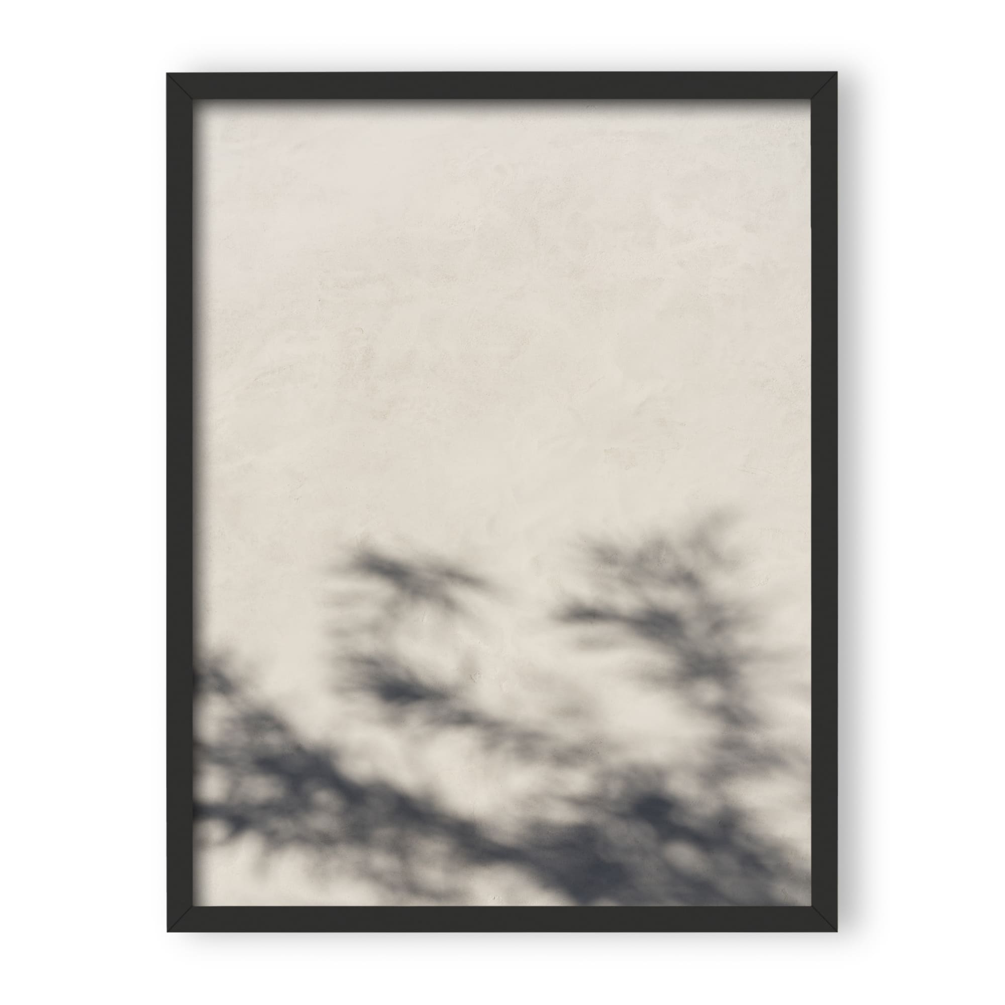 Morning Light