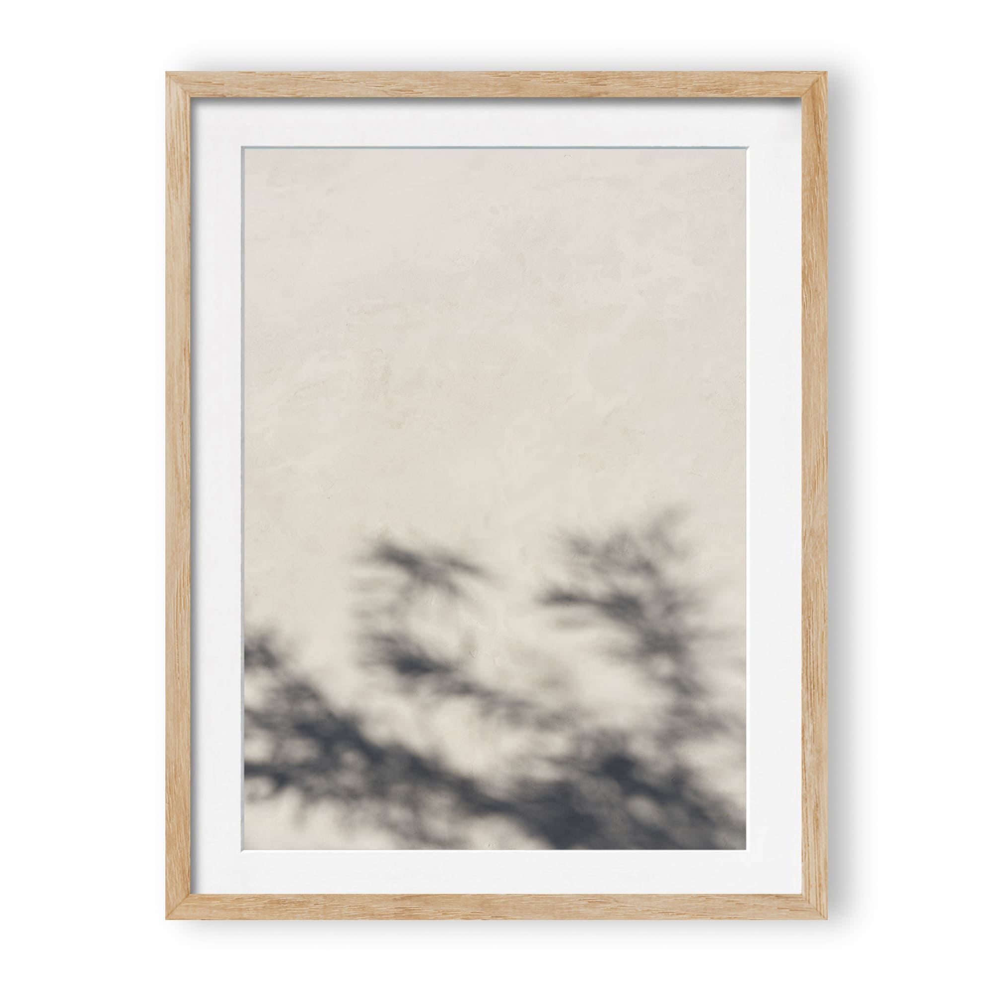 Morning Light