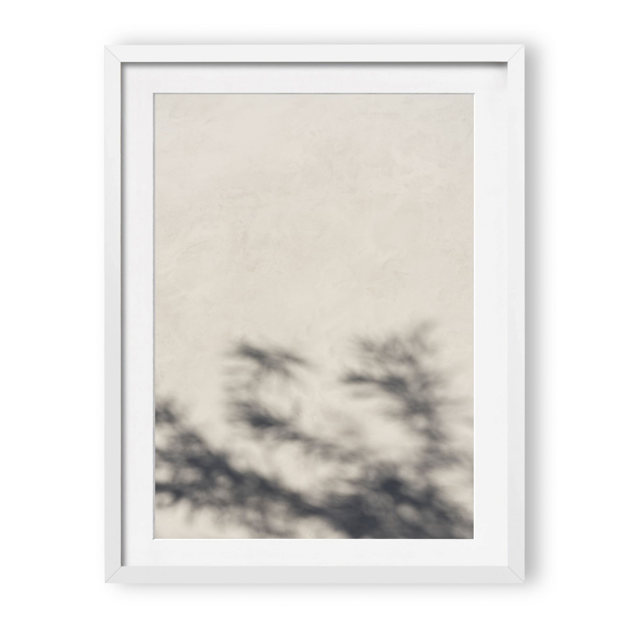 Morning Light