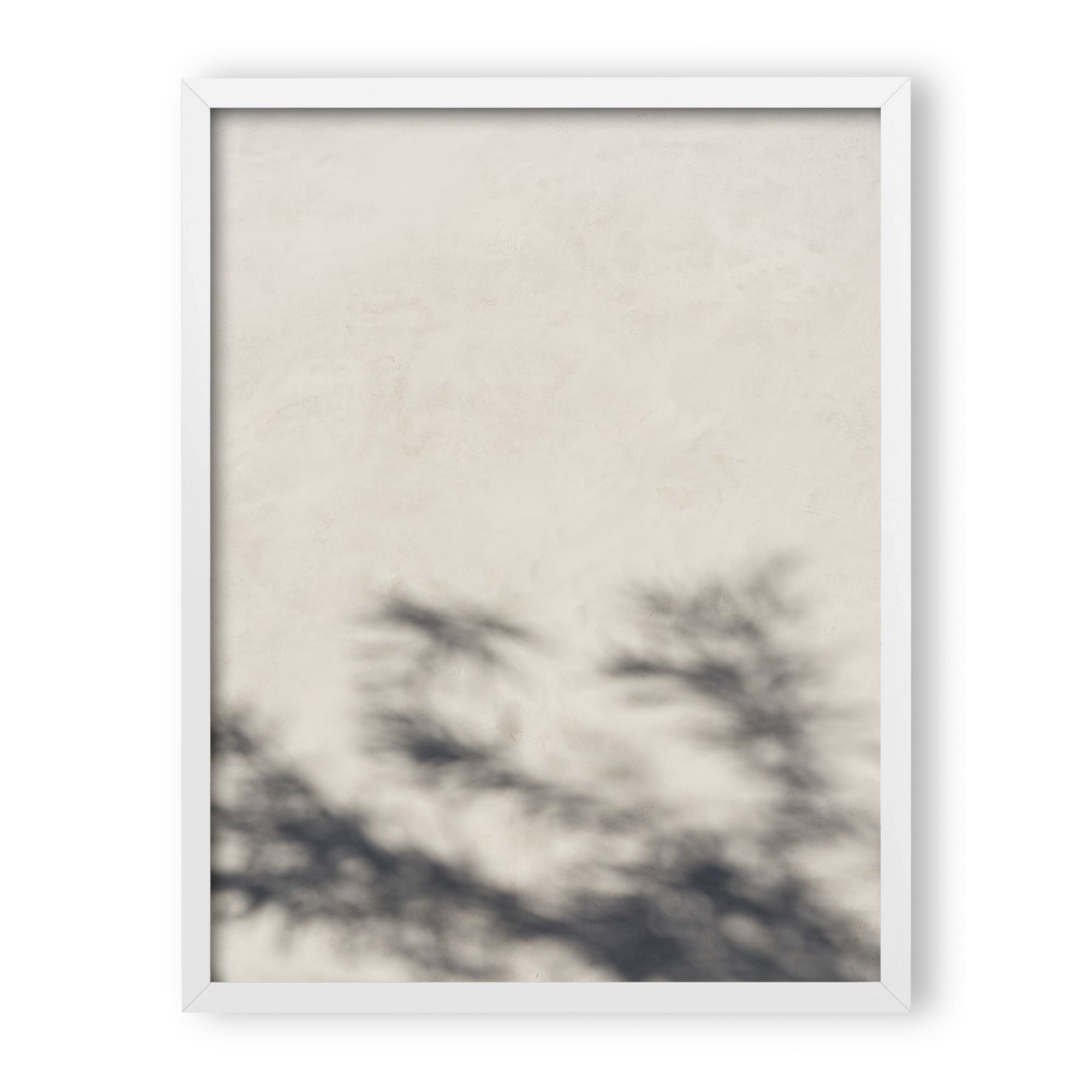 Morning Light