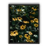 Load image into Gallery viewer, Daisy's Dance