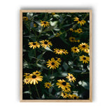 Load image into Gallery viewer, Daisy's Dance