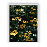 Load image into Gallery viewer, Daisy's Dance