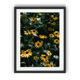 Load image into Gallery viewer, Daisy's Dance