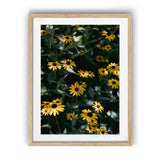 Load image into Gallery viewer, Daisy's Dance