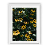 Load image into Gallery viewer, Daisy's Dance