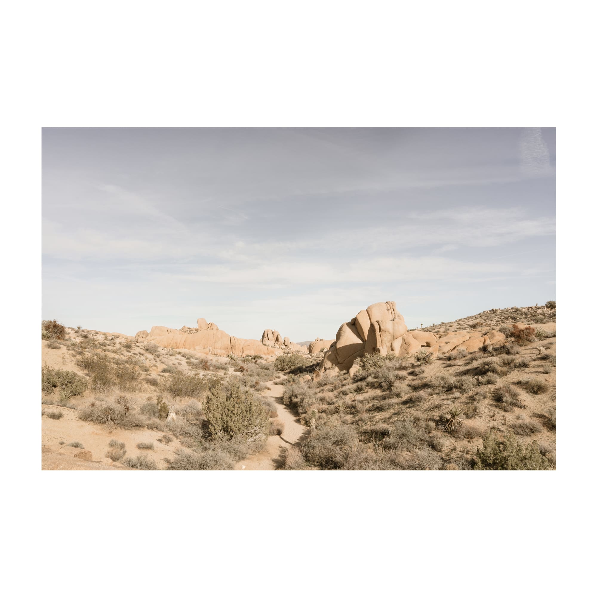 desert daydream 001