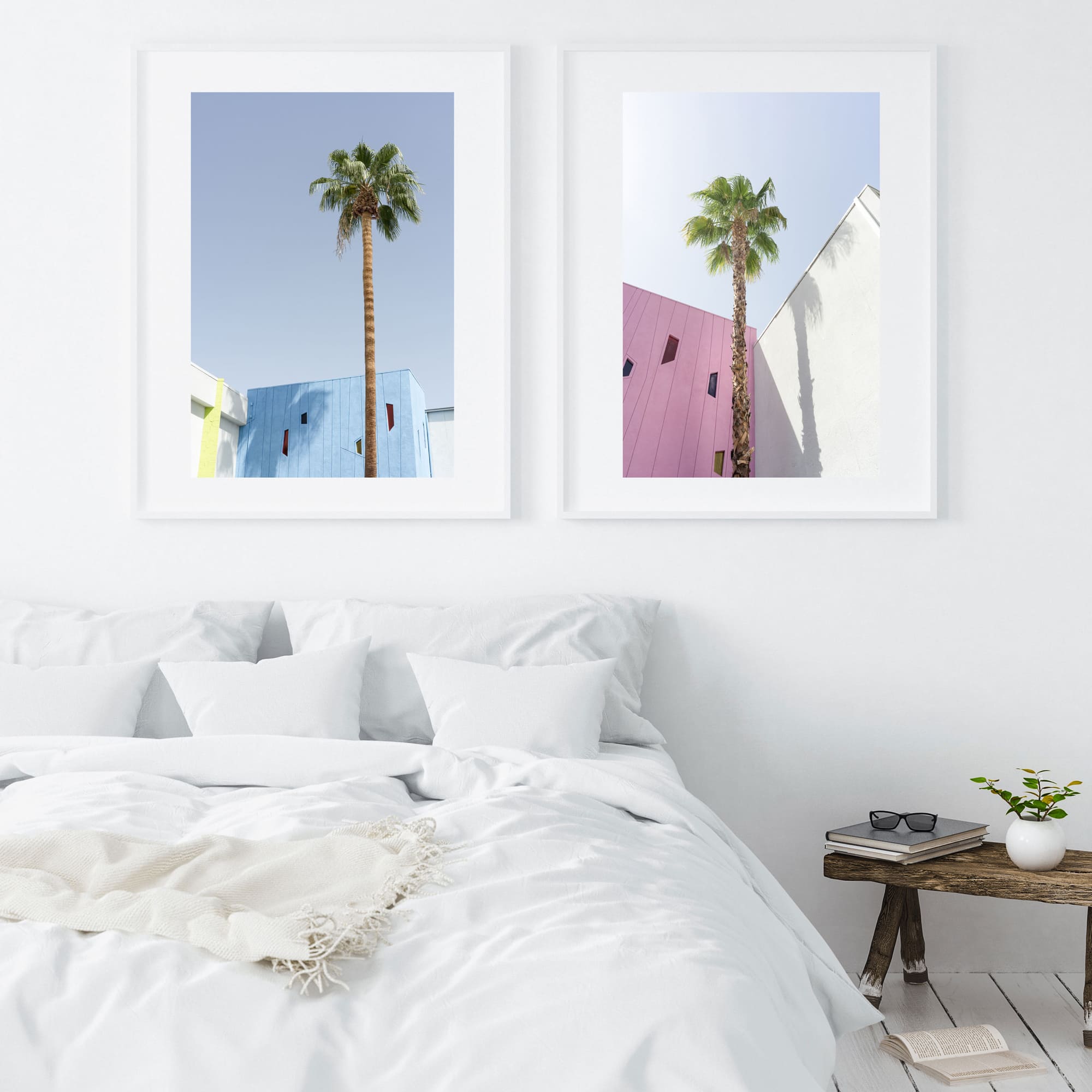 desert wildflower 003