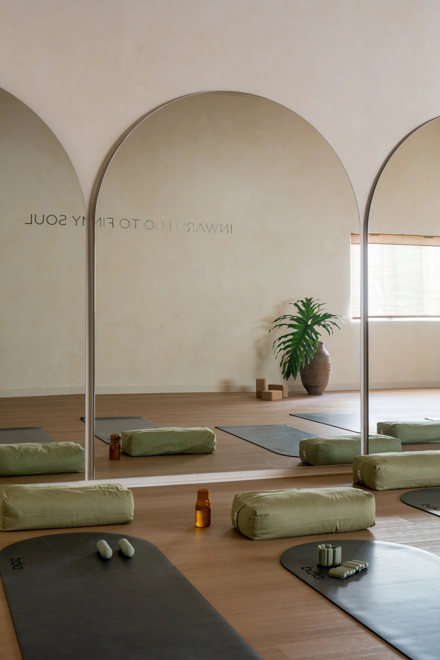 charlotte inspiration