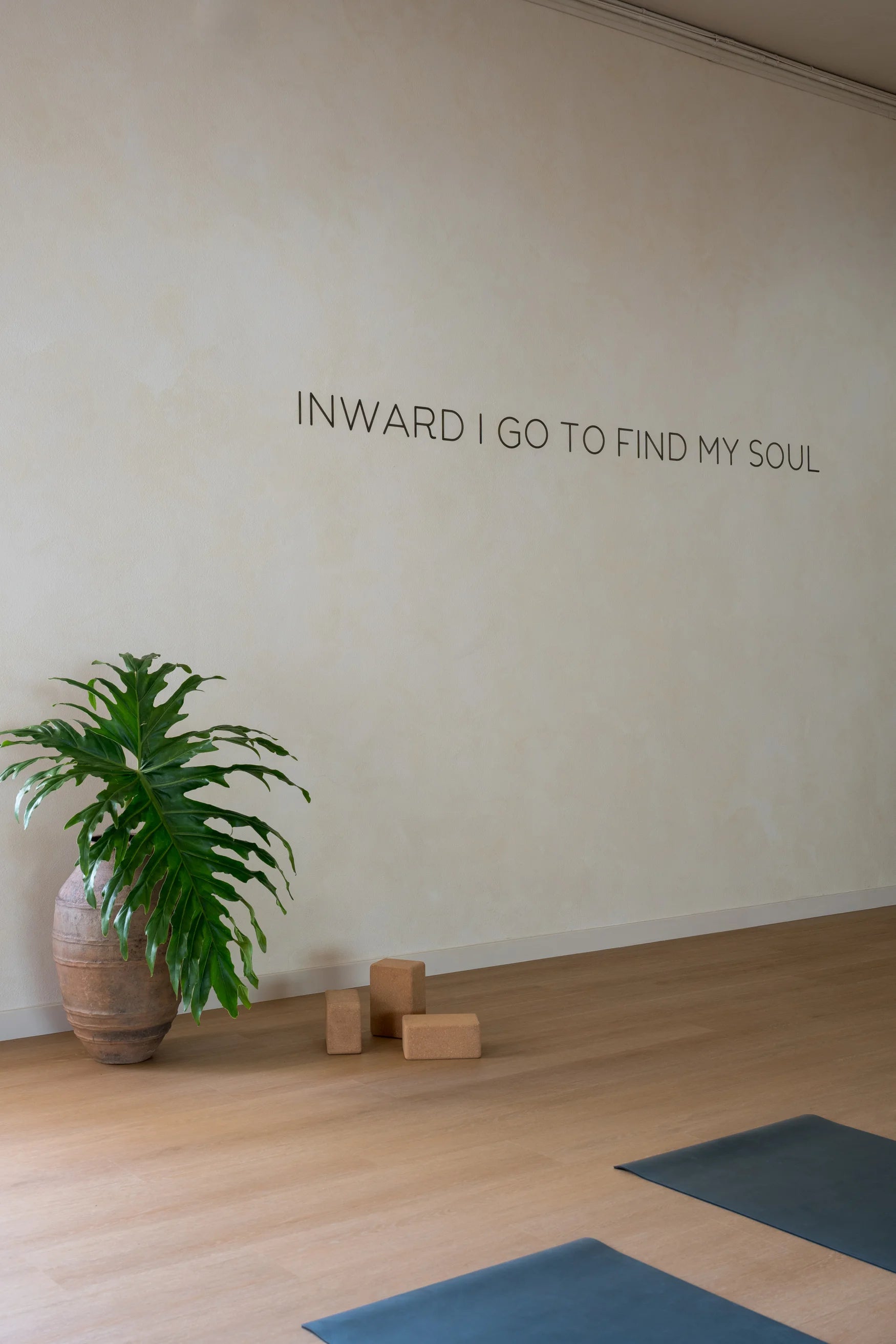 charlotte inspiration