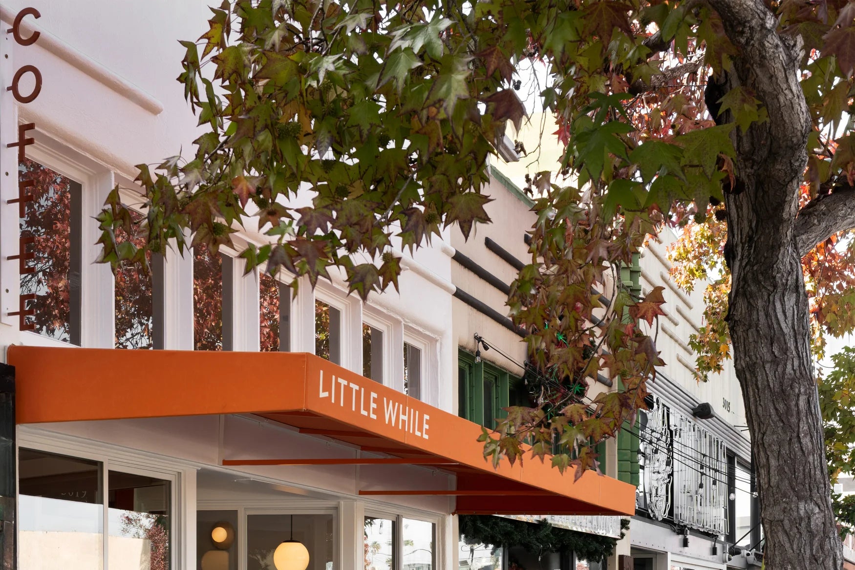 charlotte inspiration